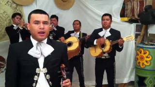 Mi Querido Viejo by Mariachi Calmecac 2812721546 [upl. by Tips908]