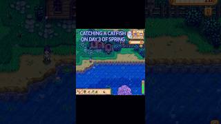 Catching a Catfish on Day 3 of Spring in stardewvalley 🎣✨ [upl. by Kelcy613]