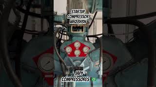 Startup Compressor Belliss WH28H3N belliss compressor [upl. by Eusoj]