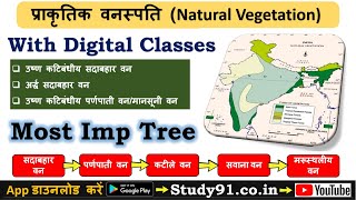 32Natural Vegetation in India Tropical Evergreen ForestTropical Moist Deciduous Forest Study91 [upl. by Jezrdna175]