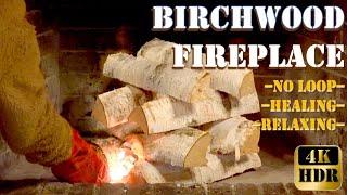 Birchwood Bliss Cozy Fireplace Ambiance for Supreme Relaxation Real time No loop 4K HDR [upl. by Aisel]