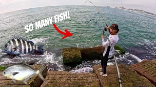 Jetty Fishing with Live Bait amp Lures Sheepshead amp Pompano [upl. by Ocihc62]