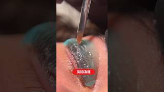 Lash lift tutorial beautiful beauty lashes lashlift shorts katerinalamiresnic [upl. by Nivloc634]