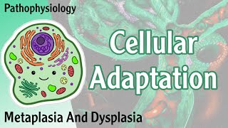 Pathophysiology  Cellular Adaptation  Metaplasia Dysplasia  Hani Laith شرح [upl. by Hajile]