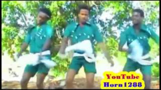 ethiopian music new 2016 mix dj barak adis [upl. by Enirol542]