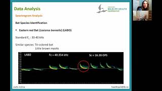 Spectrogram analysis [upl. by Aihtenak]