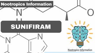 Sunifiram  Nootropics Information [upl. by Tewell]