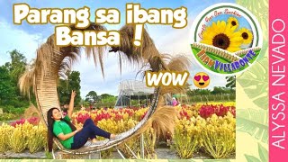 FARM VILLARONTE SUNFLOWER FARM in NUEVA ECIJA 😍  Alyssa Nevado [upl. by Ruhtra205]