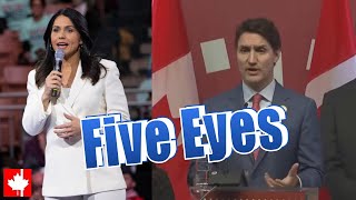 Asked about Tulsi Gabbard amp Five Eyes Trudeau launches partisan attack against Poilievre [upl. by Philoo230]