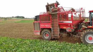 Unlocking Sugar Beet Technology HOLMER Terra Dos T430 and ROPA Maus 5 in Action 🚜🌿 [upl. by Camila]