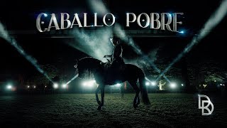 Daniel Duarte  Caballo Pobre Video Oficial [upl. by Kristoforo780]