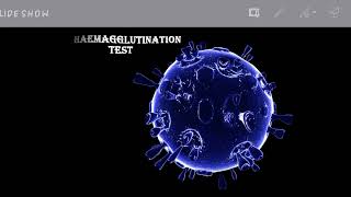 Hemagglutinin Inhibition TestExplained in urdu [upl. by Katlin]