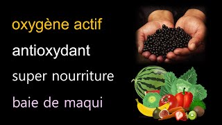 프랑스어oxygène actif antioxydant super nourriture baie de maqui [upl. by Soule]