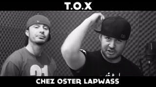 N°6931  213 41  TOX chez Oster Lapwass [upl. by Ytsirc]