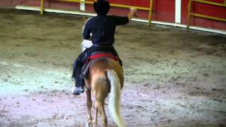 El Primer Tonto  Jose Manuel Figueroa en Plaza Monumental AGS Feria 2014 [upl. by Basia]