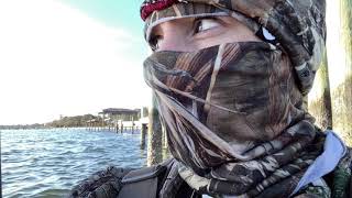 Limits in Minutes Waterfowl hunt Northwest Florida [upl. by Valida]