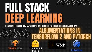 Albumentations with TensorFlow 2 and PyTorch for Data augmentation  Full Stack Deep Learning [upl. by Eldrid]