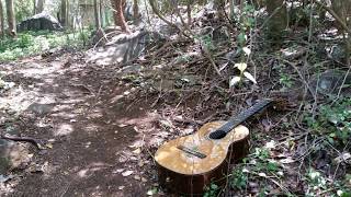 Lamento Borincano by Yilo Quinones Guitar [upl. by Htebizile]