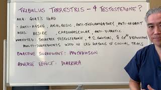 Tribulus Terrestris🐐🐐Increase Testosterone [upl. by Anehsak]