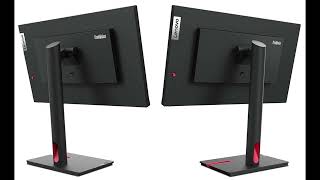 Lenovo ThinkVision T23i30 Monitor amp Docztorm Dock Review [upl. by Enyaht173]