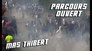 MAS THIBERT Bandido Parcours Ouvert 01102017 🐂 [upl. by Eniala]