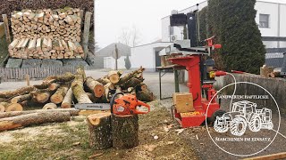 Holzspalten  Brennholz Erzeugung  Sägen und Spalten  Motorsäge  Firewood splitting  Forst [upl. by Elsa]