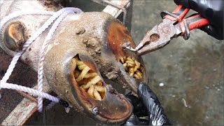 Cut Trim and Cleaning Screw with Nails WAS STUCK IN cows hoof [upl. by Nwadahs356]