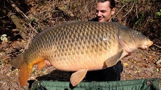 American carp record USA at 54lb 8oz 247 kg  Raphaël Biagini [upl. by Corel]