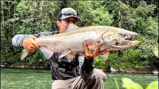 Sandy River Spring Chinook SALMON FISHING [upl. by Hurlbut452]