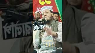 বাংলাদেশে যে অন্যায় গুলো করতে চেয়ে ছিল muftiamirhamza waz wazmahfil waz2024 shorts [upl. by Orman]