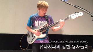 ALLEVA COPPOLO LG5 PASSIVE SLAP SOUND amp유다지파의 강한용사들이 [upl. by Rosabel]