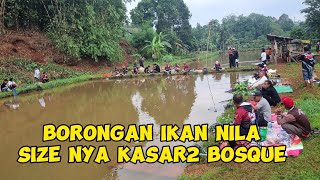 BORONGAN IKAN NILA 3 KUINTALHASIL NYA SAMPE DIGOTONG ‼️ MANCING BORONGAN NILA [upl. by Aivatnuhs]