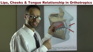 How Can Your Lips Cheeks and Tongue Straighten Your Teeth By Dr Mike Mew [upl. by Ras]