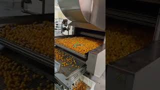 Braised quail eggs drying processing line 0086 159 6100 8651 [upl. by Nye206]