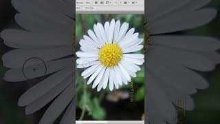 Photo Filter in Photoshop [upl. by Nahamas]