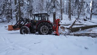 FPVSturmholz aufarbeiten amp Holzrücken Teil1  MF 4225 sound Tiger 8to Seilwinde  wood harvsting [upl. by Aitnis]