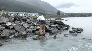 Silver Salmon Fishing seward alaska August 21st 2022rajkumargurung68 [upl. by Ettevets]