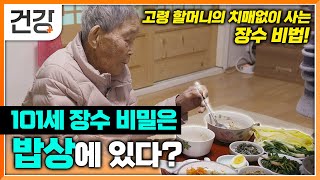 죽지도 않아 더 괴로운 좀비 세포 노화  질병과도 연결된 노화를 막는 방법은 생활 습관 하나뿐  명의  EBS건강 [upl. by Carolee486]