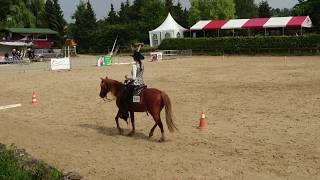 Zweite in der Westernriding Larissa amp Golden Lucky Boy  WRR Turnier Ratingen 2018 [upl. by Rhines]