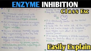 Enzyme Inhibition  Competitive And Non Competitive Inhibition  Class 11 Biology [upl. by Esdnyl]