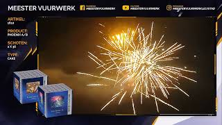 1610 Phoenix AB  Meester Vuurwerk Lelystad [upl. by Hakaber]