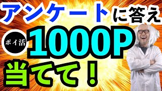 アンケート 副業 【ポケットアンとケイト】1000ポイントが当たるポイントサイトのキャンペーンを解説【ポイ活】【初心者】【ポケアン】【ポイ活youtuber】 [upl. by Yarehs762]