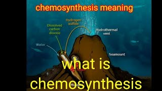 chemosynthesis  chemosynthesis definition chemosynthesis in hindi chemosynthesis [upl. by Dorita909]