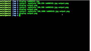 Imagemagick Saturation Tutorial BASH Linux [upl. by Kenji]