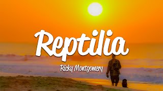 Ricky Montgomery  Reptilia Lyrics [upl. by Marj]