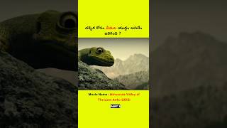 Part 3 చక్కర కోసం చీమల యుద్ధం  shorts youtubeshorts ln [upl. by Boelter109]