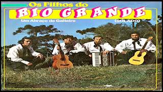 Os Filhos do Rio Grande LP Um abraço de gaiteiro solado 1986 [upl. by Reddin]