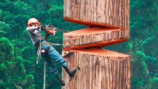 40 Minutes Of Satisfying Videos Of Workers Doing Their Job Perfectly  Best Moments [upl. by Allyson687]