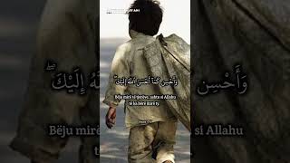 Haitham Al Dokhin  Surah Kasas  77 [upl. by Amaerd]