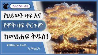 የህይውት ዛፍ እና የሞት ዛፍ ትርጉምthe meaning of life tree and death tree [upl. by Nnaxor]